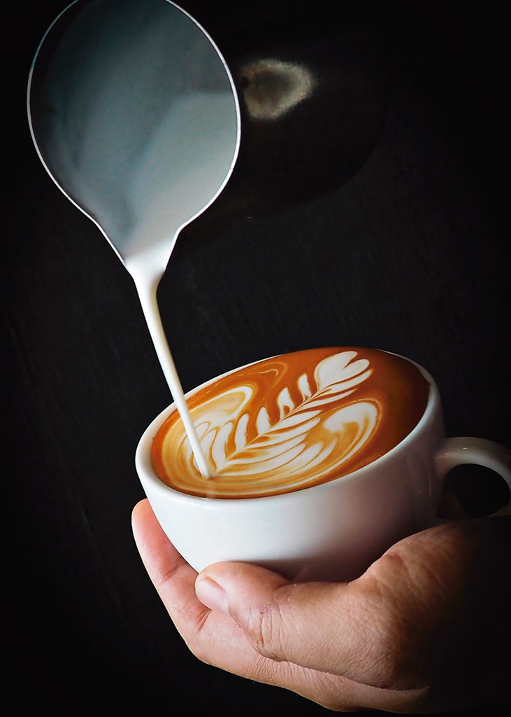 Barista Milk Creamer 0.5Lt -58050