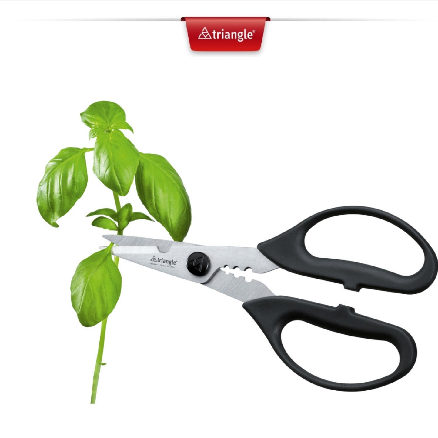Herb scissors -5047809
