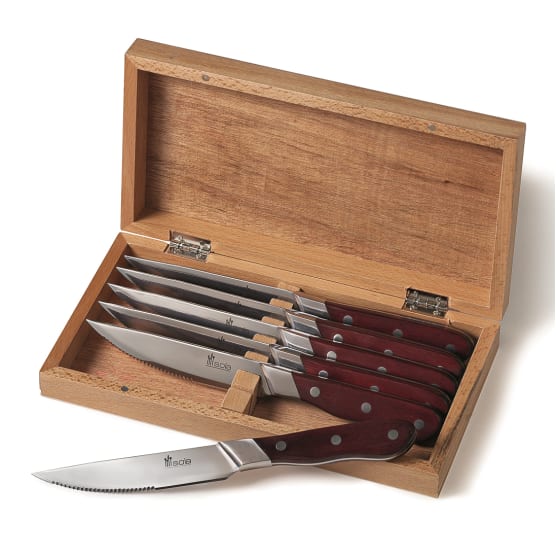 Steak knife set 6pcs in gift box -STEAKS003